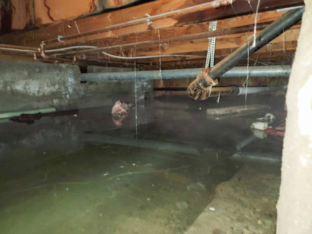 Best Fire Damage Restoration  in Preston, ID