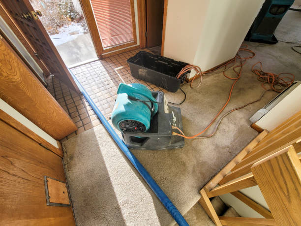 Reliable Preston, ID Water damage restoration Solutions