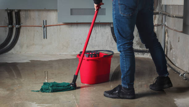 Best Flood damage cleanup  in Preston, ID